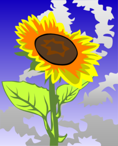 Sunflower With Sky In The Background Clip Art